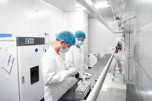 專注醫療科技前沿，廈門海滄這家企業如何深耕微創耗材與網絡信息技術研發