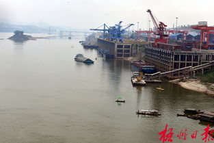 港口碼頭 船舶穿梭與貨物搬運的繁忙交響曲